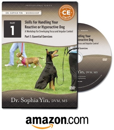 Skills for Handling Your Reactive or Hyperactive Dog